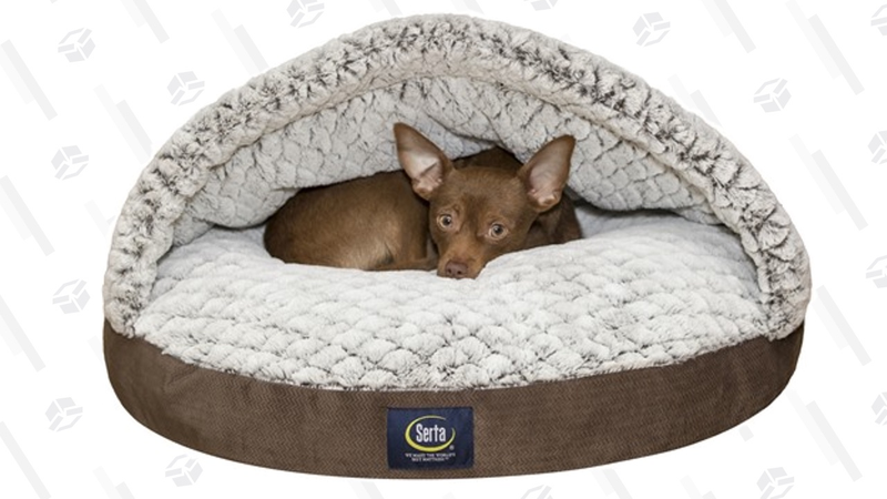 Camas Seta de 20'’ y 25'’ para tu mascota | $20 | WootGráfico: Erica Offutt